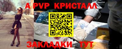 стаф Кунгур