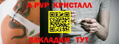 стаф Кунгур