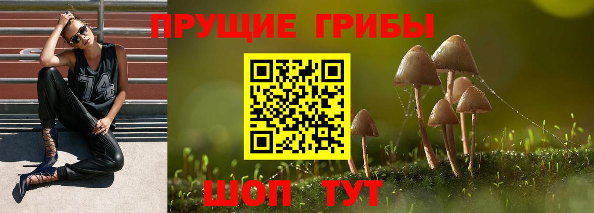 Галлюциногенные грибы мухоморы  закладки  Всеволожск  Вход с VPN 